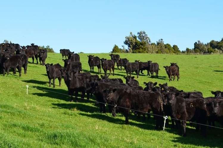 83 Kerr Road Glen Murray_2