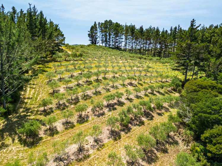 2884A State Highway 10 Mangonui_25