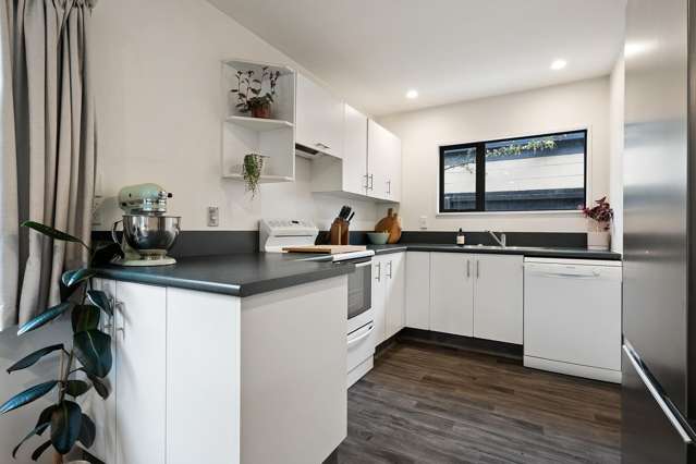 16 Harman Street Addington_3