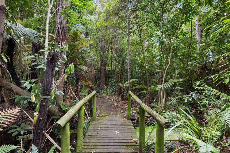 455A Johns Road Harewood_44