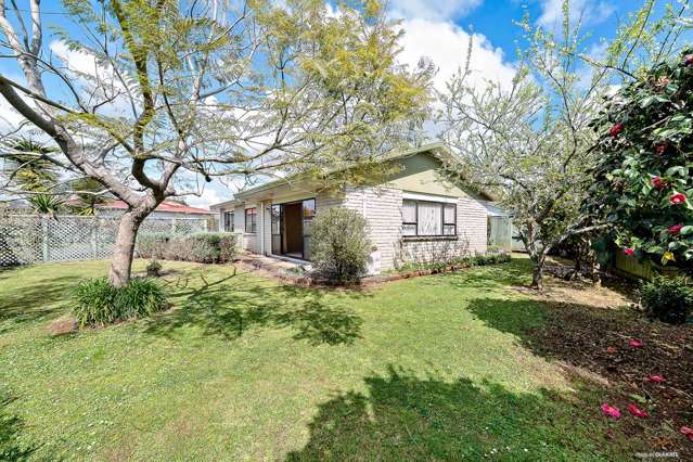 117a West Street Pukekohe_1