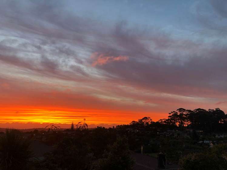 2/18 Kenmure Avenue Forrest Hill_26