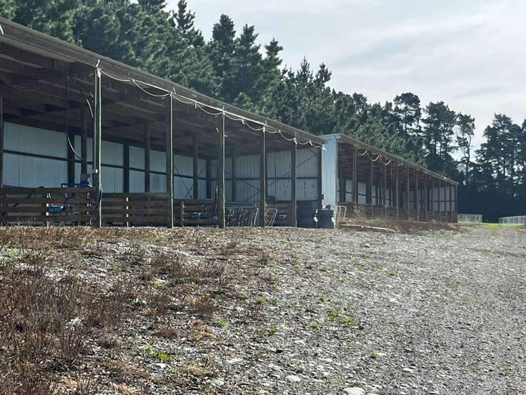 108 Klondyke Terrace Mayfield_30