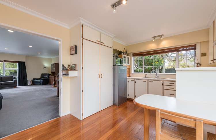 10 Kaka Street Stoke_11