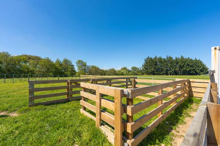 168D Nannestads Line Bunnythorpe_24