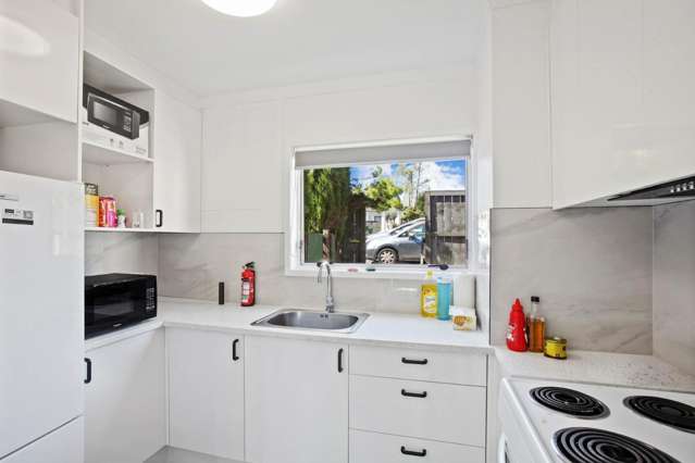 17 Fred Woodward Place Mount Roskill_4