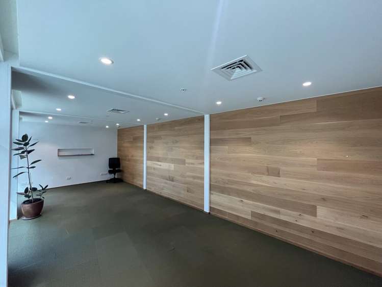 5 Crummer Road Grey Lynn_7