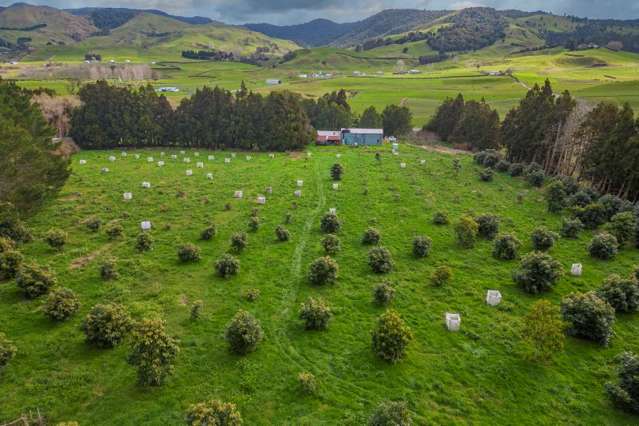 548B Waihi Whangamata Road Waihi_4