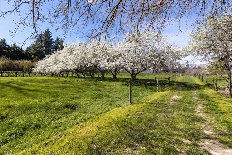 105 River Road Appleby_18