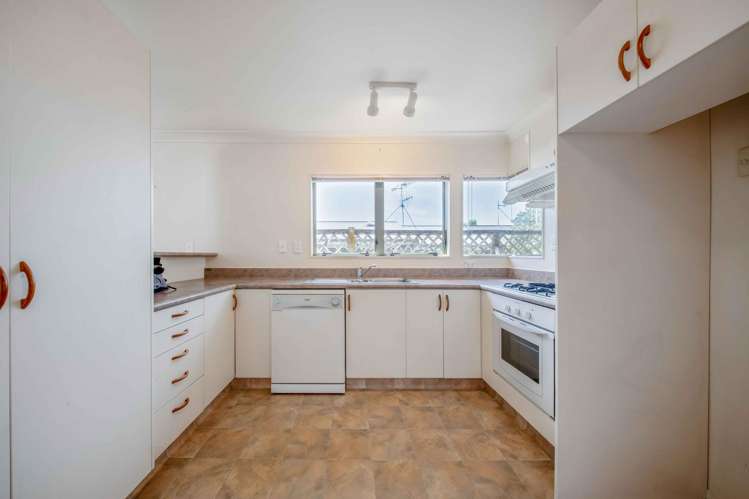 723C Cameron Road Tauranga South_3