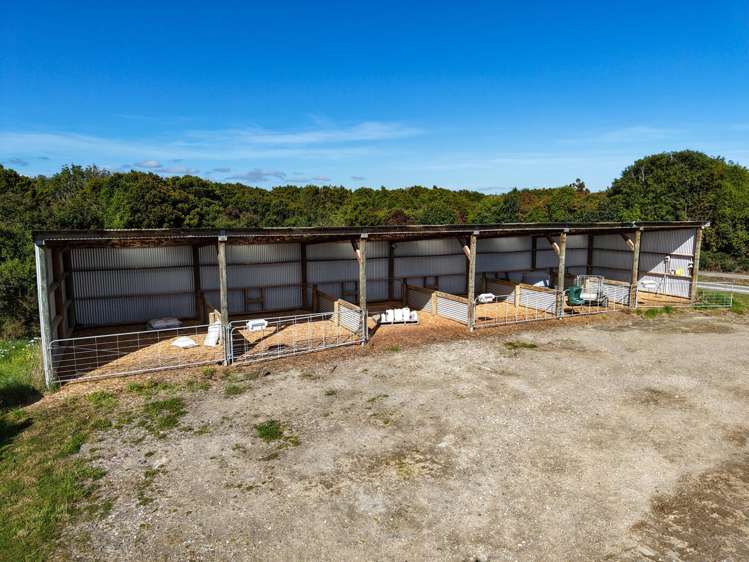 81 Tapper Road Mokotua_5