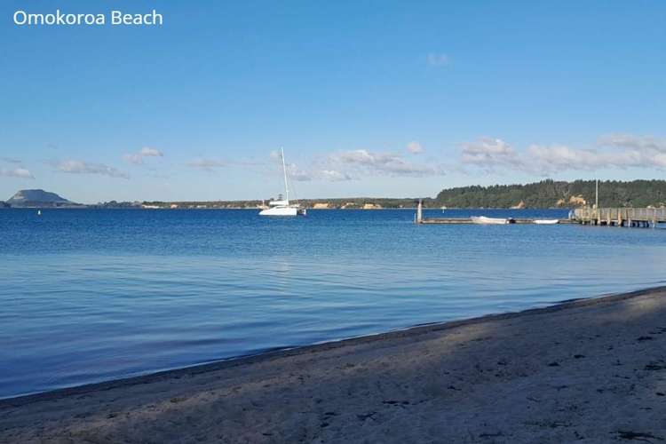 61 Bert Wall Drive Omokoroa_14