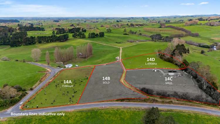 Darby Road & Arapuni Road_2