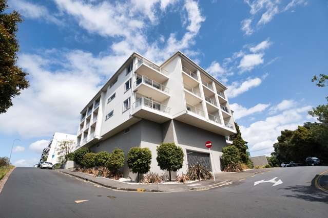303/43 Virginia Ave East Eden Terrace_1