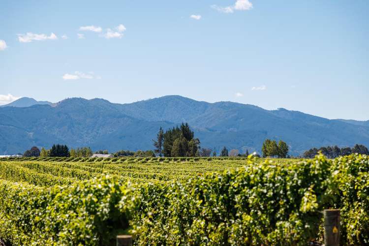 54 Lake Timara Road West Waihopai Valley_13