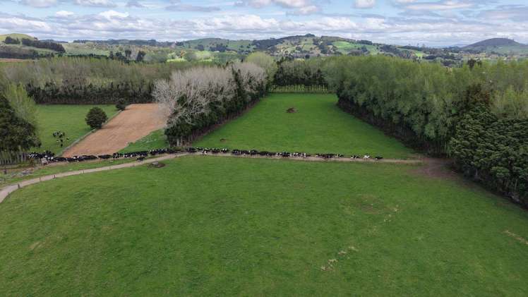 664 Te Pua Road Kaikohe_7