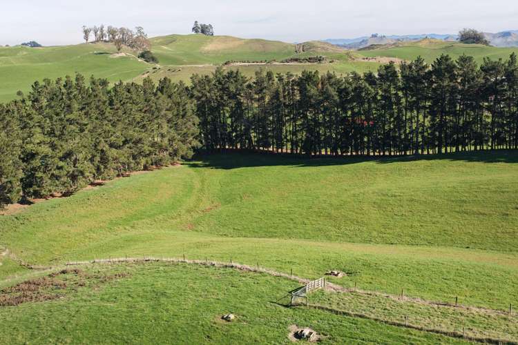 Lot 2/84 Tod Road Otane_5