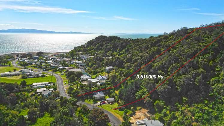 47 Waiomu Valley Road Waiomu_17