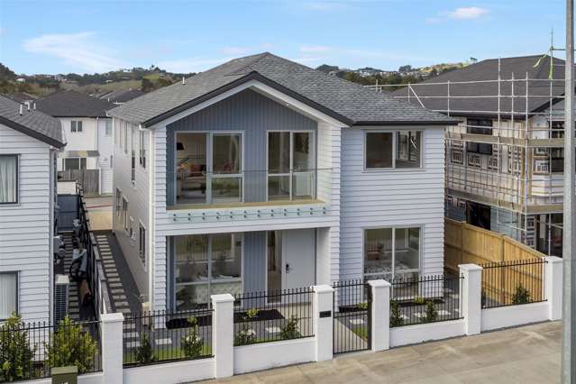 213c Murphys Road Flat Bush_3