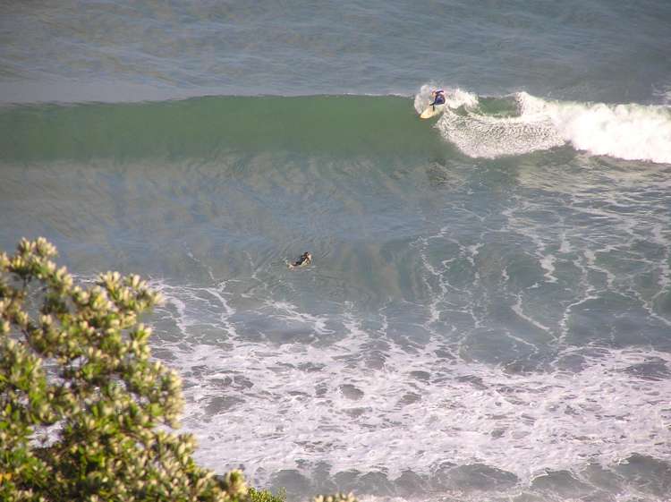 10 Earles Place Raglan_29