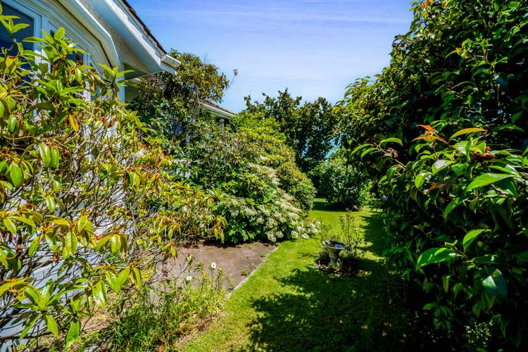 33 Rogan Street New Plymouth Central_19