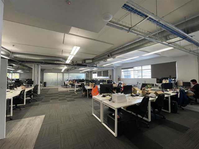 9 Augustus Terrace Parnell_2