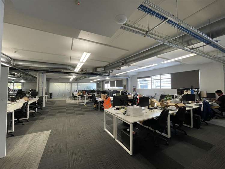 9 Augustus Terrace Parnell_2