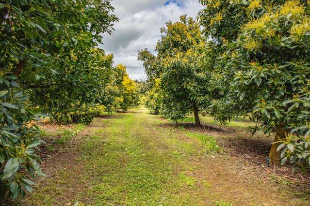 143 Norris Road Maungatapere_4