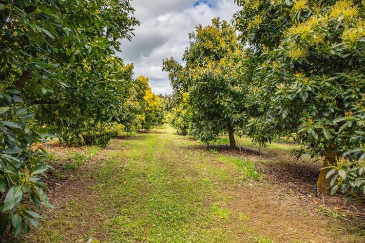 143 Norris Road Maungatapere_4