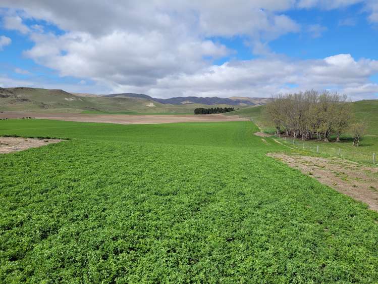 Oneill Road Ranfurly_5