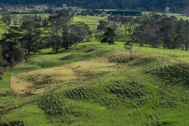 lot 20/40 Morgan Rise Kaukapakapa_3