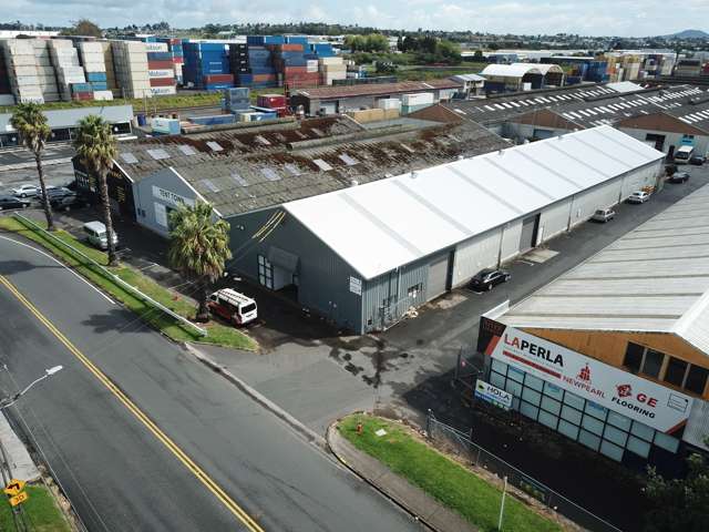 103 Jellicoe Road Panmure_3