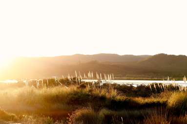 42 Taniwha Place_1