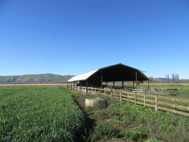 51 Walker Road Otane_1