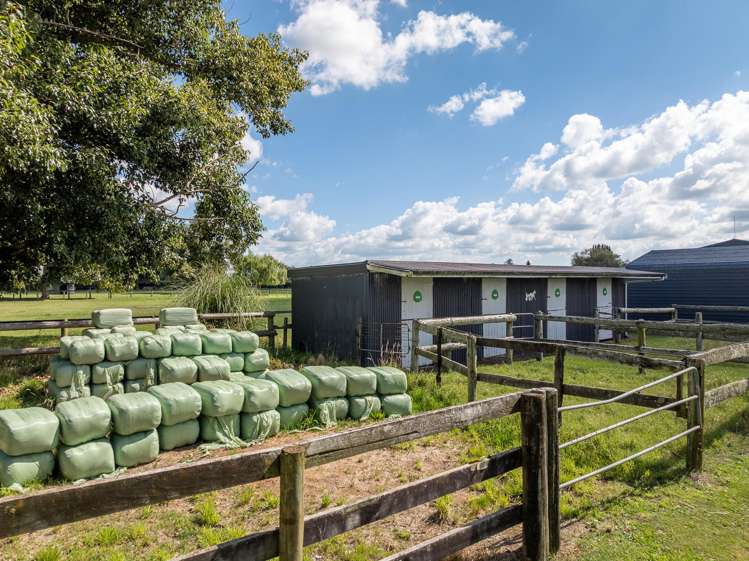 182 Maungatautari Road Cambridge_23
