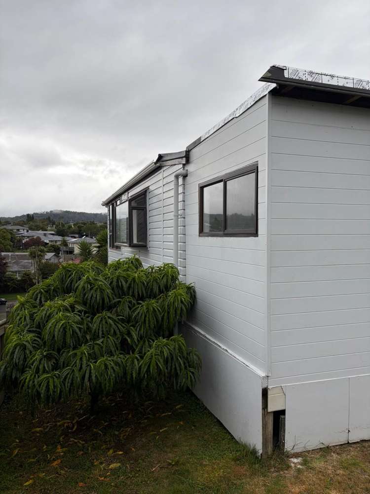 20 Nikau Street Springfield_14