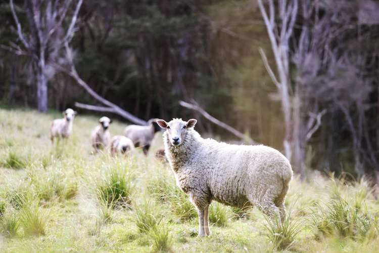 114 O'Brien Road Coatesville_19