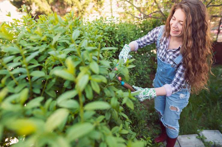 Gardening