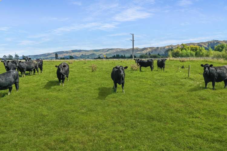 Broomfield Road Woodville_4