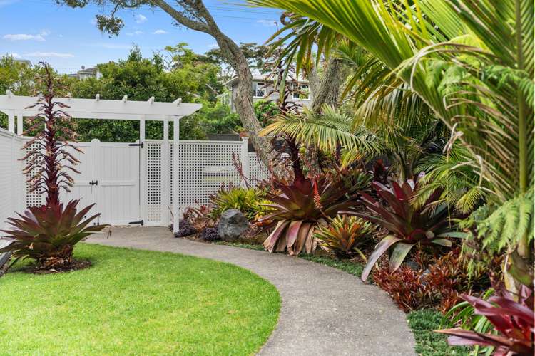 40 Mulgan Street New Windsor_13