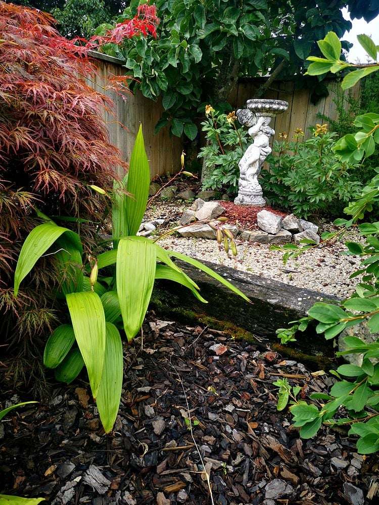 20 Maire Street Tahunanui_2