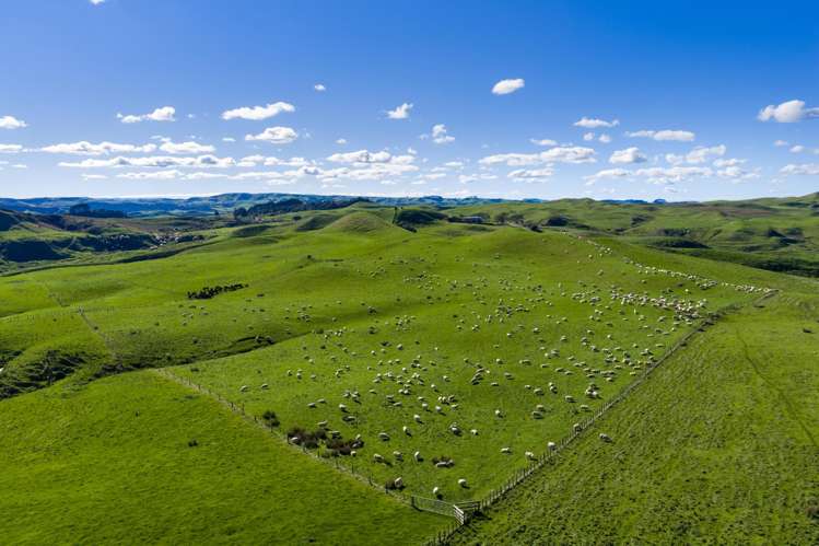 767 Te Akau Coast Road Te Akau_25