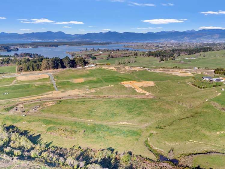 Kamana Estate Mapua_7