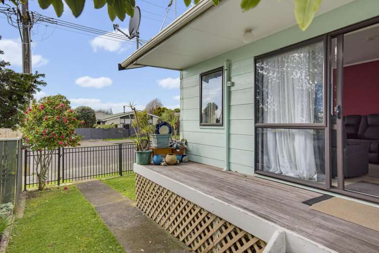 13 Douglas Street Levin_29