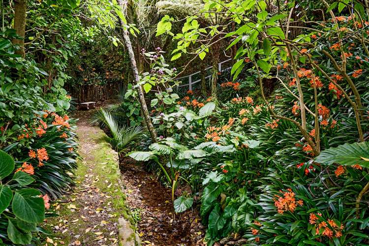 15 Waitohu Road York Bay_18