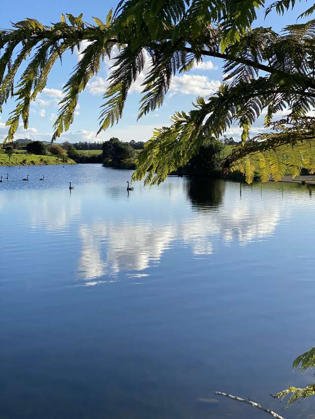 Waterfall Lane Kerikeri_3