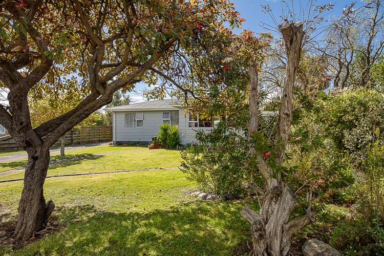 9 Nicholson Street Renwick_23