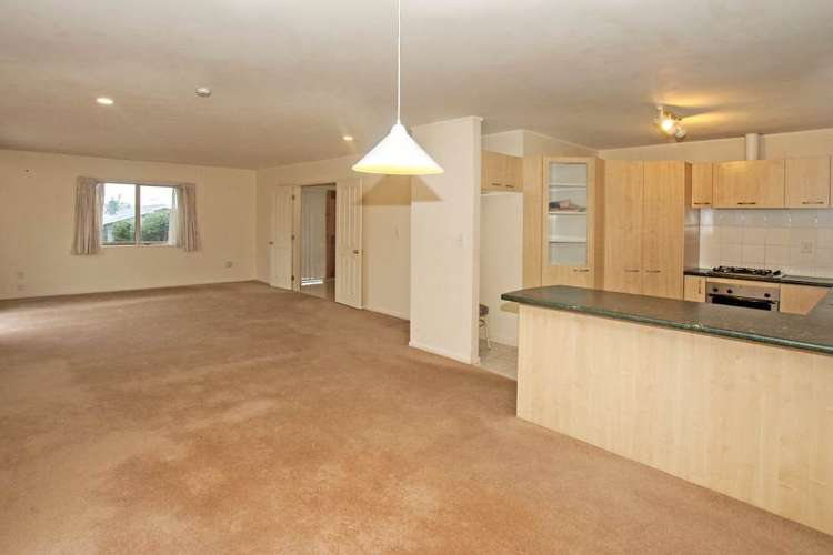 17e Cradock Street Avondale_4