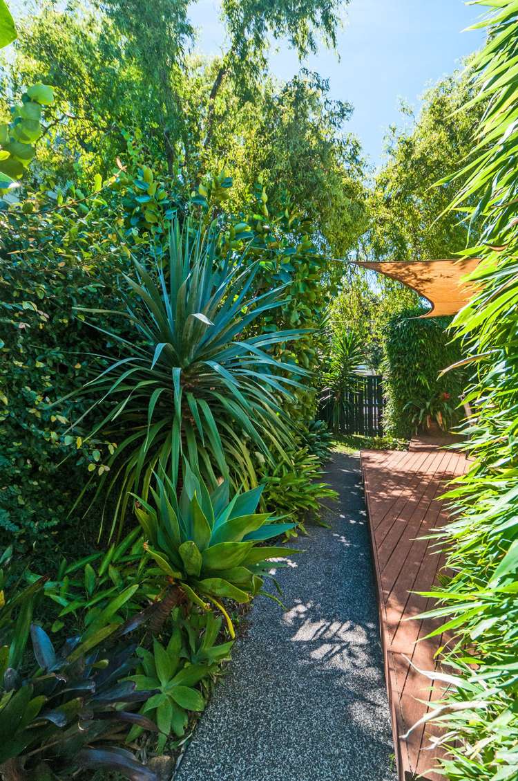 86 Gowing Drive Meadowbank_17