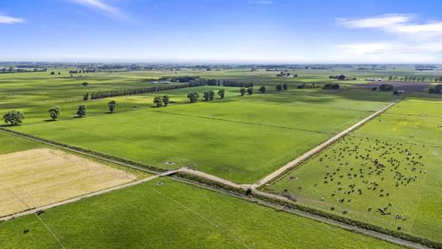 145 Campbells Road Opiki_3